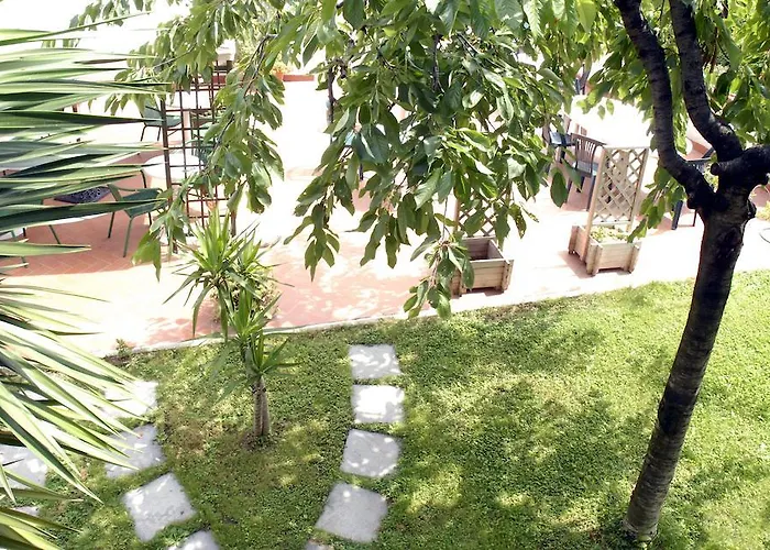 Aurora Garden